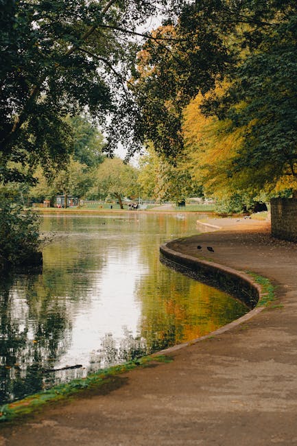 Photograph of a peaceful scene at Valentines Park in Ilford, showing a curved pathway made of asphalt running alongside a calm, narrow body of water. The water reflects the surrounding trees, which feature lush green foliage and some that are starting to show autumnal yellow and orange leaves. Overhanging branches create a natural canopy and provide partial shade over the pathway. In the background, there are a few small boats moored on the water and distant park benches, indicating a recreational area. The scene is well-lit by natural daylight, highlighting the vibrant colors of the foliage and the stillness of the water. This tranquil park setting, with its natural environment, could serve as a reference point for local house removals and packing services by Movers Ilford, especially when planning logistics for home relocations near such scenic outdoor spaces.