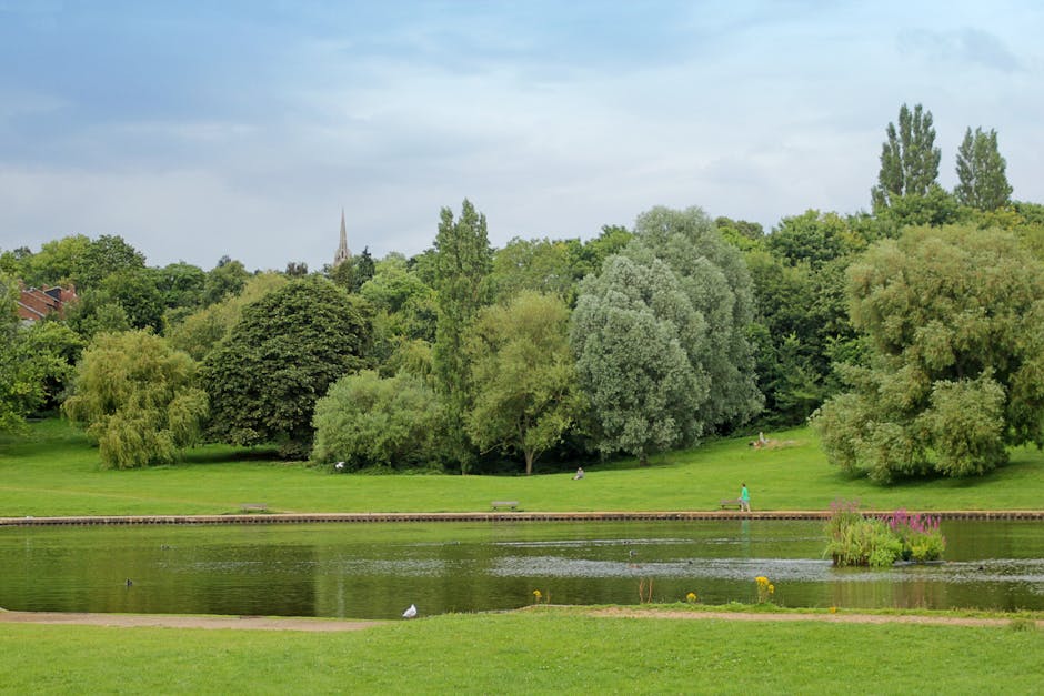 Photograph of a peaceful scene at Valentines Park in Ilford, showing a curved pathway made of asphalt running alongside a calm, narrow body of water. The water reflects the surrounding trees, which feature lush green foliage and some that are starting to show autumnal yellow and orange leaves. Overhanging branches create a natural canopy and provide partial shade over the pathway. In the background, there are a few small boats moored on the water and distant park benches, indicating a recreational area. The scene is well-lit by natural daylight, highlighting the vibrant colors of the foliage and the stillness of the water. This tranquil park setting, with its natural environment, could serve as a reference point for local house removals and packing services by Movers Ilford, especially when planning logistics for home relocations near such scenic outdoor spaces.